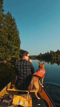 Vertical shot of a woman and her dog canoeing on a calm lake in Algonquin Park under clear skies