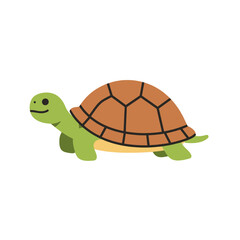 Obraz premium turtle