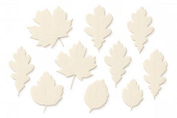 Delicate white autumn leaves softly drifting downward, creating minimalist seasonal backdrop for graphic design projects