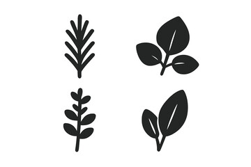Herb icon set. Solid filled glyph style icons of aromatic herbs and spices for cooking. Rosemary, basil, thyme, oregano, sage leaves. Vector symbols for culinary design.