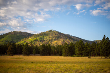 Fototapeta premium mountain landscape with blue sky in Flagstaff Forest