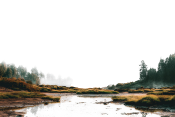 Misty landscape reflecting in a still water