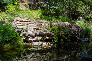 The river running through Sedona, surrounded by vibrant green grass.