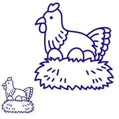 chicken illustration