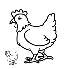 chicken illustration