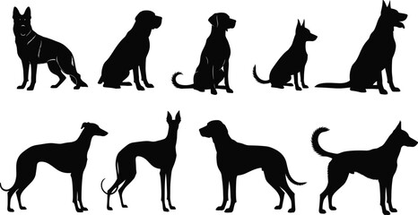 Dynamic vector illustration of a sleek motorcycle rider leaning into a high-speed turn, capturing motion, precision, and adrenaline.