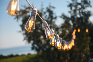 String of vintage Edison bulbs hanging outdoors against trees; warm evening lights and bokeh.