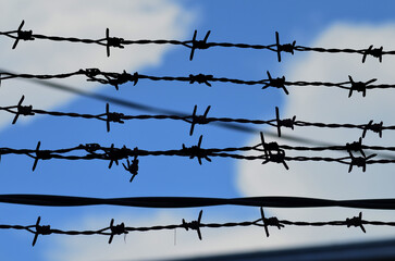 many stretches of black barbed wire against a blurred background of a clear sky