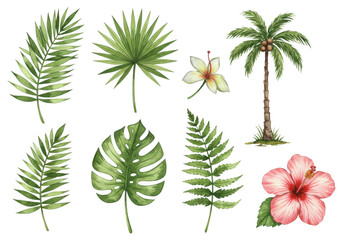 Exotic tropical leaves and flowers await your creative projects transparent background