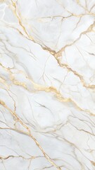Fototapeta premium Marble Texture with White and Gold Veins for Luxury Branding