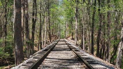 railway in the forest