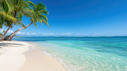 Tropical beach with palm trees, clear water, and blue sky creates serene atmosphere