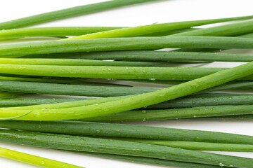 葉ネギ　白バック