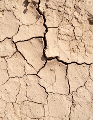Fototapeta premium Cracked, dry earth creates a textured, arid landscape. Sunlight illuminates the parched ground, highlighting the deep fissures and baked clay formations