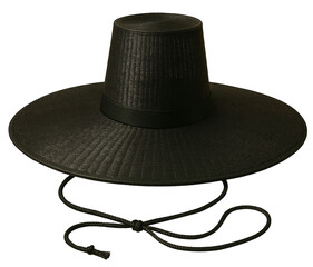 갓, 모자, 검다, 의복, 유행, korea got, 저상사자 모자, 