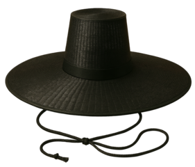 갓, 모자, 검다, 의복, 유행, korea got, 저상사자 모자, 