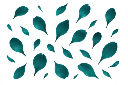 Teal petals falling gently on a transparent background, creating a serene and elegant atmosphere