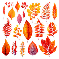 Watercolor Autumn Leaves Collection Isolated on Black Background Art Pattern