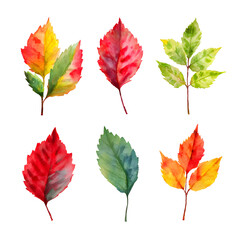 Watercolor autumn leaves collection on black background, seasonal illustration