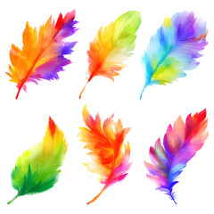 Colorful feathers abstract arrangement on black background elegant display artist