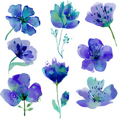 Watercolor floral collection in blue and purple tones on a black background