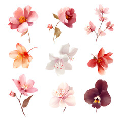 Elegant Watercolor Floral Set on Black Background for Design and Decoration