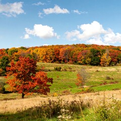 Fototapeta premium Fall Foliage Landscape View