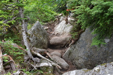 剱岳・早月尾根の登山道