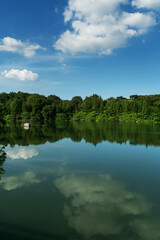 Lush greener around the pond in the park