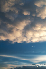 Fototapeta premium the dark clouds make the sky in black. The rain is coming soon.