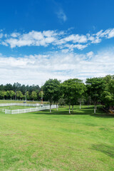 Fototapeta premium spring park and modern city