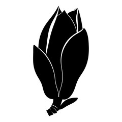 Naklejka premium Magnolia bud silhouette isolated on white background
