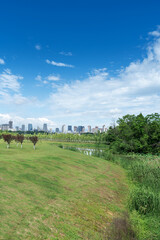 spring park and modern city