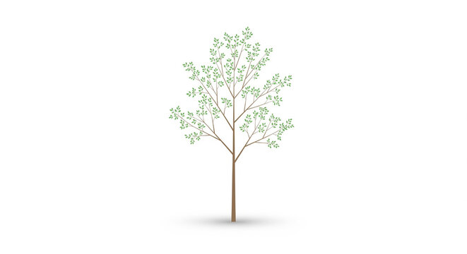 Stylized deciduous tree illustration with light green leaves, representing nature and growth, on an isolated transparent background.