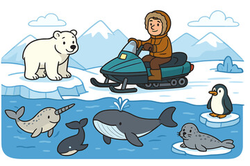 Arctic and Antarctic animal collection with polar bear, whale, penguin, narwhal, seal. Man on snowmobile in snowy winter landscape. Cute cartoon vector wildlife set.