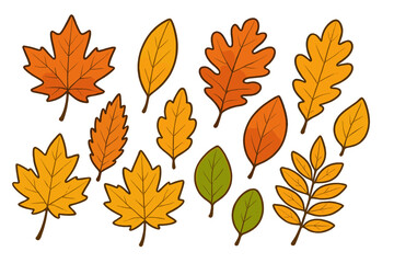 Set of colorful autumn leaves. Fall foliage collection with various shapes and sizes. Maple, oak leaf icons. Vector cartoon illustration for seasonal design isolated on white.