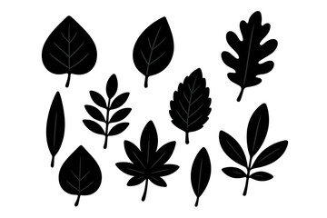 Set of black leaf silhouettes. Botanical vector icon collection of various plant and tree foliage shapes. Natural, organic, eco design elements for forest or garden themes.