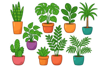 Obraz premium Cute cartoon houseplant collection. Vector set of indoor plants in colorful pots: monstera, snake plant, palm, cactus. For home decoration, urban jungle, botanical concepts.