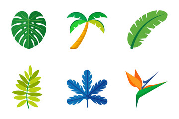 Tropical leaf vector illustrations, monstera palm banana bird of paradise foliage, exotic jungle greenery, botanical flat icons for summer designs © kdpprosolutions2015