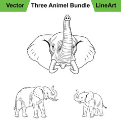 Collection of Elephant Poses as a Powerful Vector Line Art Set