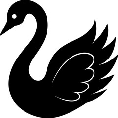 Fototapeta premium black swan on white