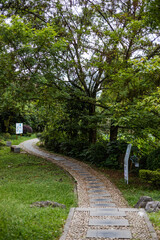 Obraz premium path in the park