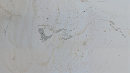 Abstract White Gray Surface Texture with Stains and Natural Patterns
