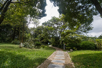 path in the park