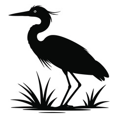 Obraz premium heron on a black background