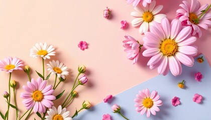 Pastel Daisy Bouquet with Gradient Background