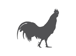 rooster illustration isolated on white background