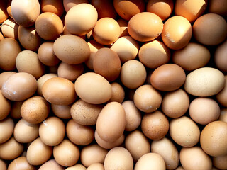A Bountiful Collection of Brown Eggs:  Fresh Farm Produce Ready for Consumption