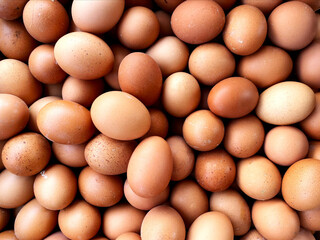 Top view of many brown chicken eggs in different sizes and shades. Food and agriculture concept
