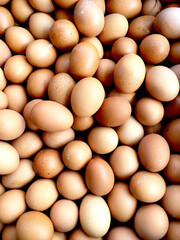 brown eggs in a basket